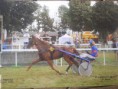 /album/galerie-de-photos-nos-chevaux/victoire-flamenco-au-pertre-jpeg1/